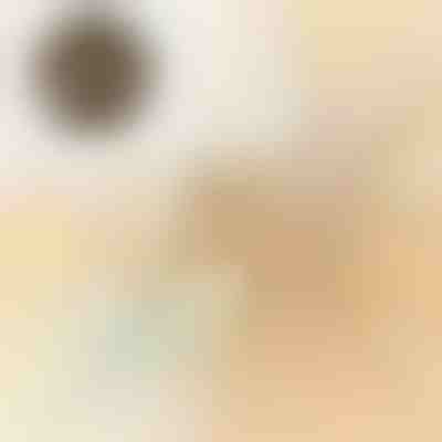 Automatska kotrljajuća lopta za kućne ljubimce | BALLY 1+1 GRATIS