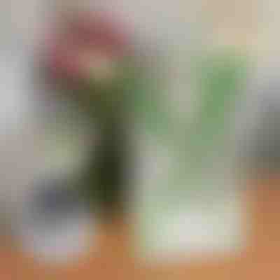 Chic akrilna vaza za cvijeće u obliku knjige | FLOWERFRAME