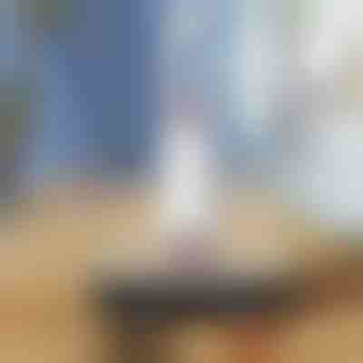 Mini samocijedni čistač | HANDYMOP