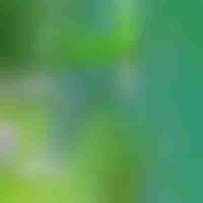 Alat za plijevljenje | SPINOUT