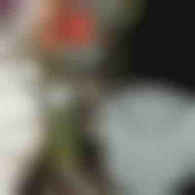 Držači za cvijeće za prekrasne aranžmane (3 kom) | VASEKA