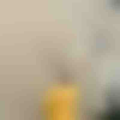 Čišćenje oluka i krovova bez ljestava – doseg 2,6 m | TELWAND
